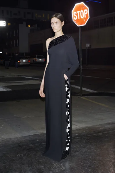 Look 37